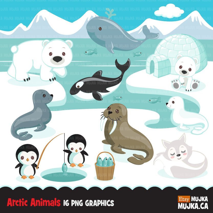 Arctic animals clipart. Winter animals
