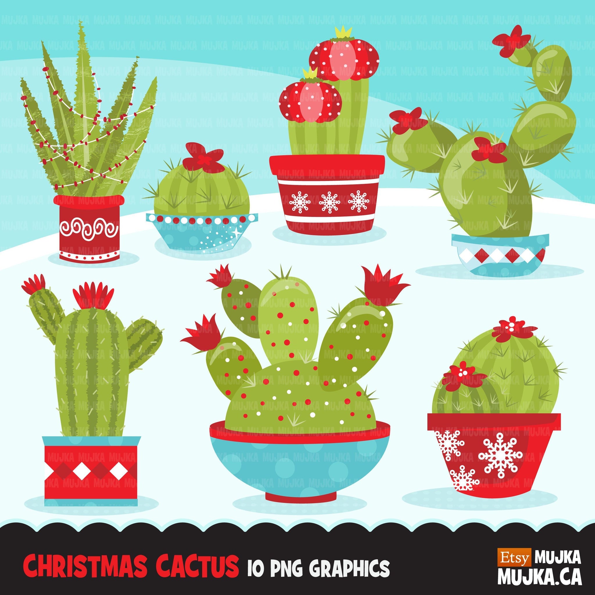Christmas Cactus clipart